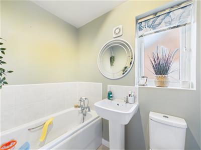 Picture 23